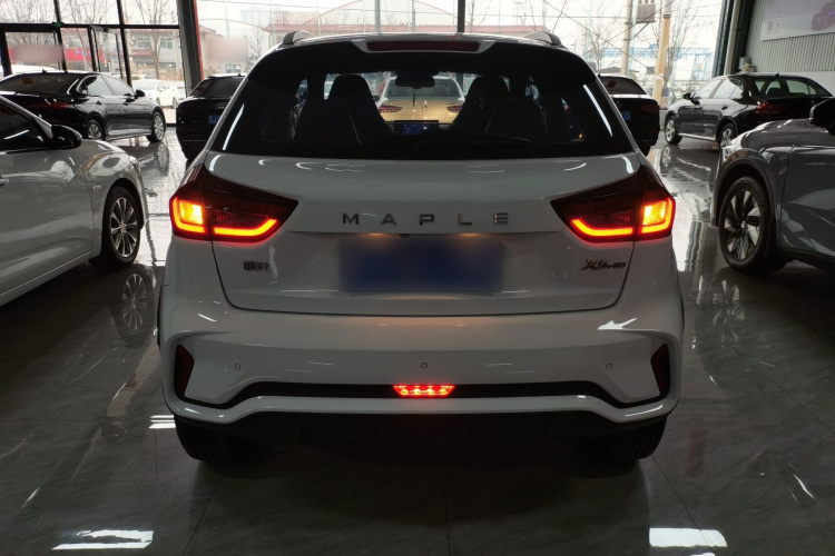 X3 PRO 2023 car image #6
