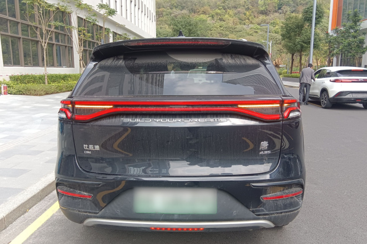 BYD Tang New Energy 2023 car image #6