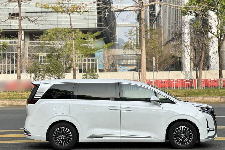 Denza D9 2023 imagem de carro #6