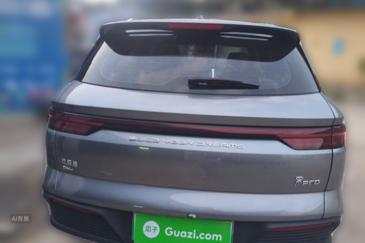 BYD Song Pro New Energy 2024 car image #6