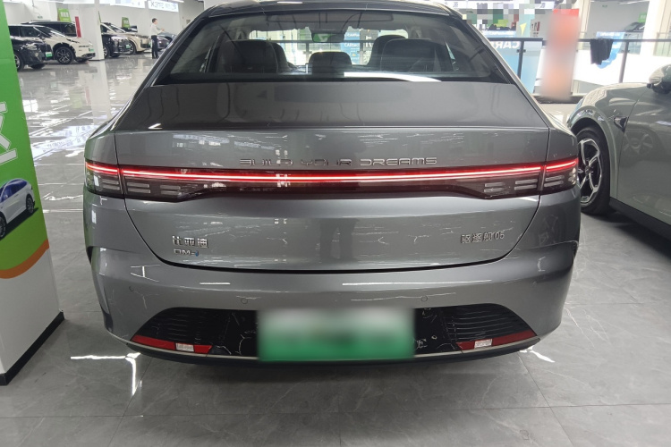 BYD Destroyer 05 2022 imagen de coche #6