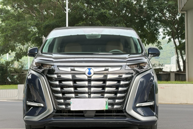 Denza D9 2023 imagen de coche #6