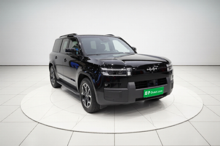 FangChengBao Tiger 7 2025 car image #6