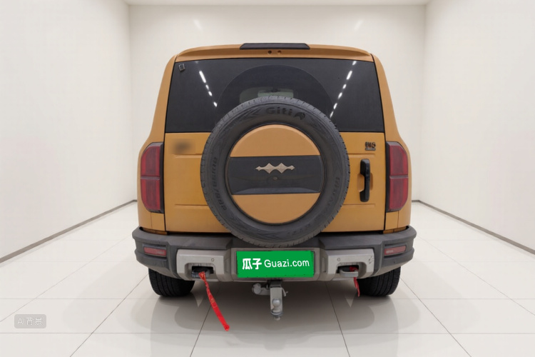 FangChengBao Leopard 5 2024 car image #6