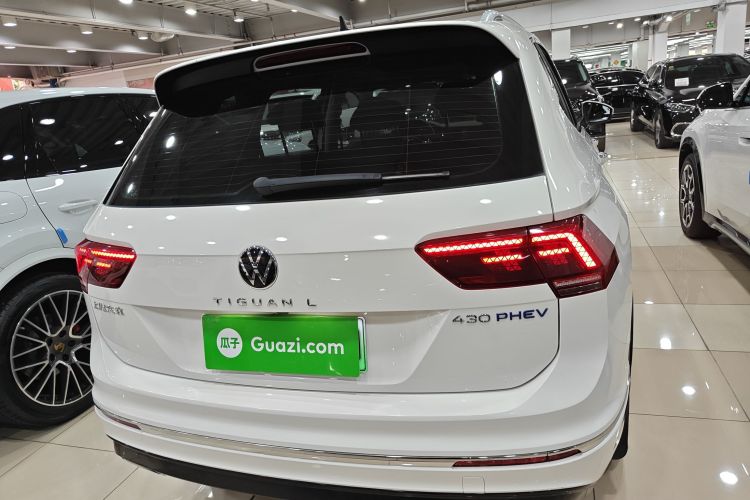Volkswagen Tiguan L New Energy 2021 immagine di auto #6