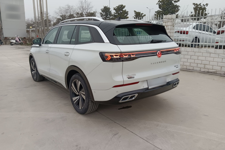 Volkswagen Tavendor 2024 car image #6