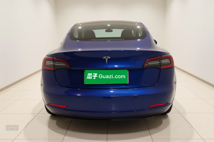 特斯拉 Model 3(进口) 2019 汽车图片 #6