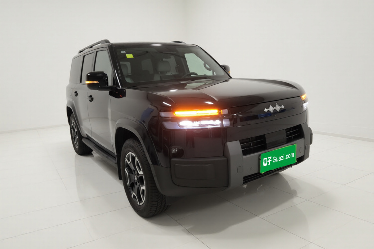 FangChengBao Tiger 7 2025 изображение автомобиля #6