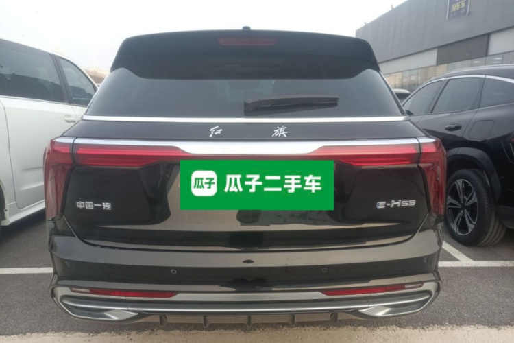 HongQi E-HS9 2023 image de voiture #6