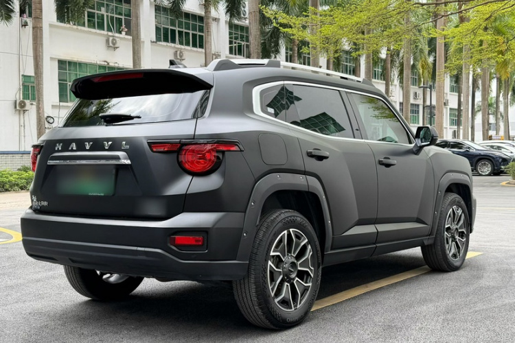 Haval X Dog 2 New Energy 2023 car image #6