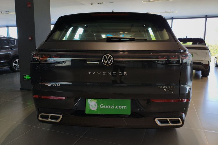 Volkswagen Tavendor 2024 immagine di auto #6