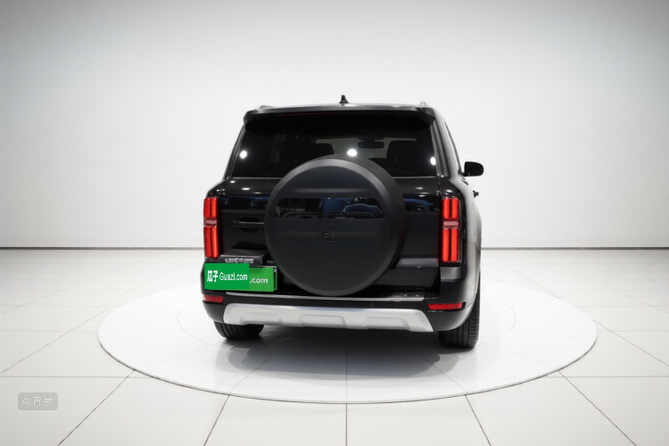 Tank 500 New Energy 2024 immagine di auto #6