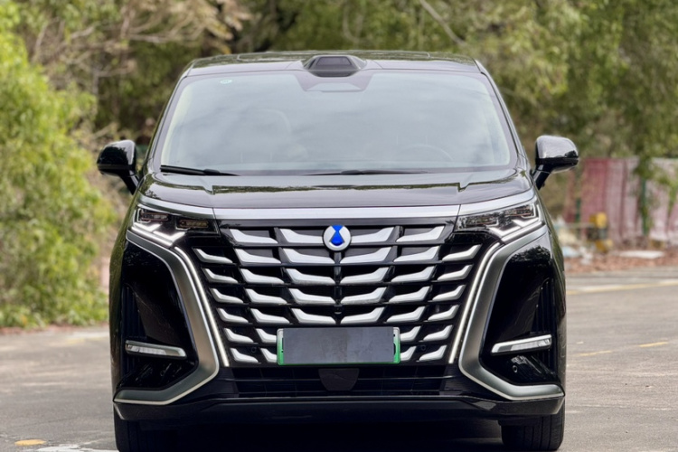 Denza D9 2025 изображение автомобиля #6