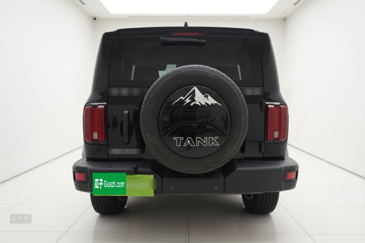 坦克 坦克300 2021 汽车图片 #6