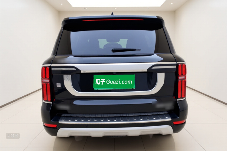 Tank 500 2023 immagine di auto #6