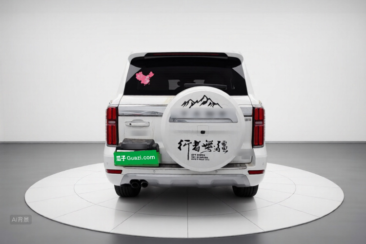 坦克 坦克500 2022 汽车图片 #6