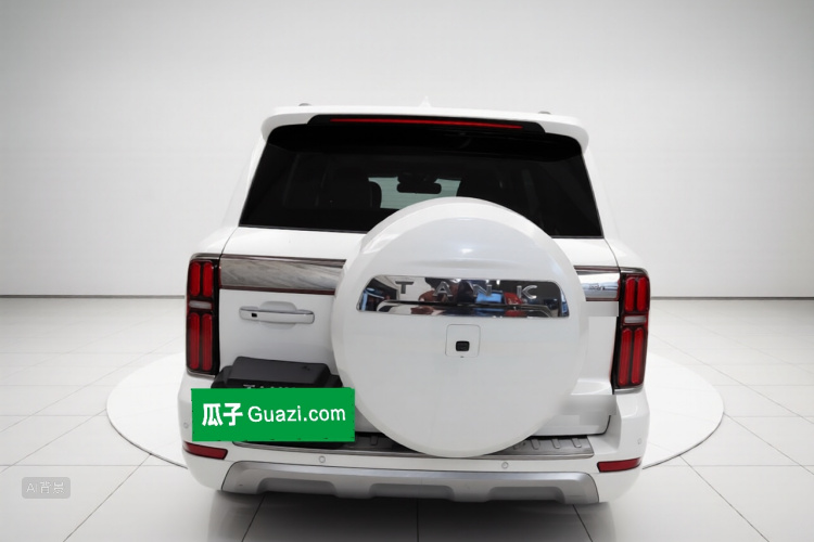 坦克 坦克500 2022 汽车图片 #6