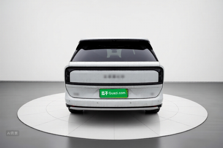 极氪 极氪9X 2025 汽车图片 #6