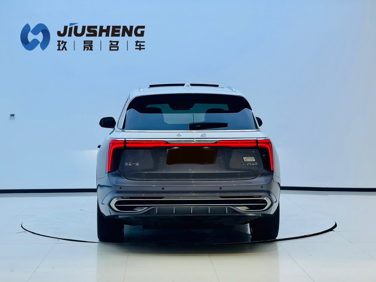 HongQi E-HS9 2022 car image #6