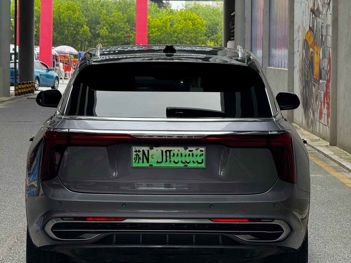 HongQi E-HS9 2021 #6 HongQi E-HS9 2021 immagine di auto #6