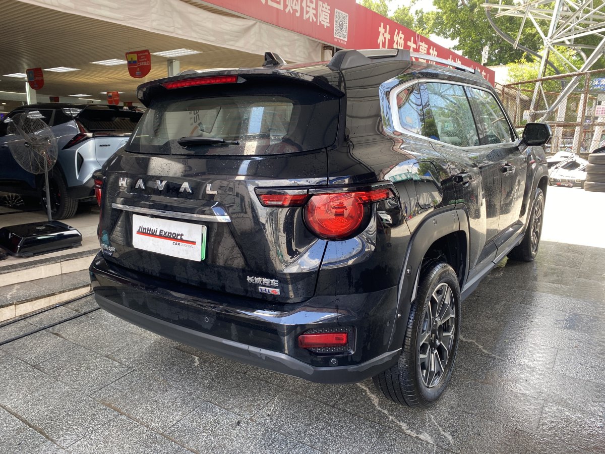 Haval X Dog 2 New Energy 2024 car image #6