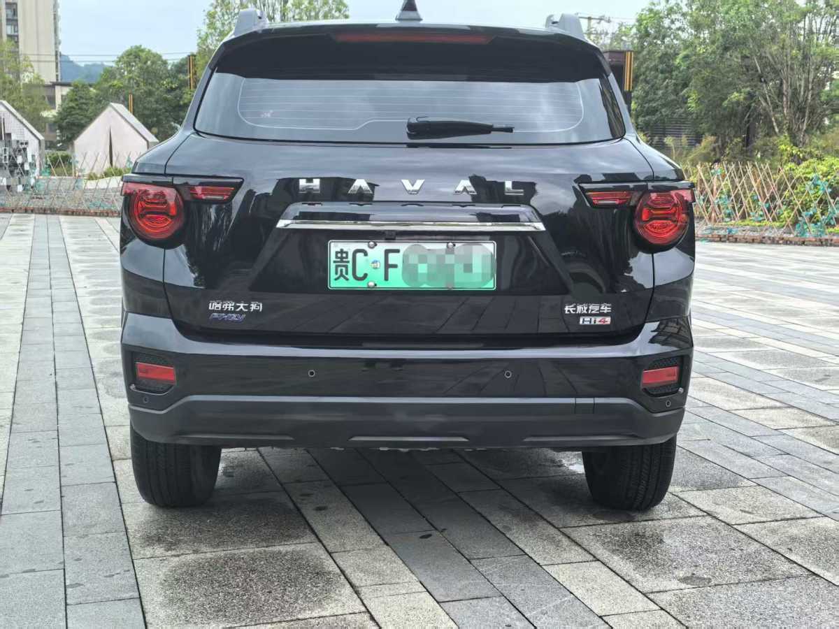 Haval X Dog 2 New Energy 2024 car image #6