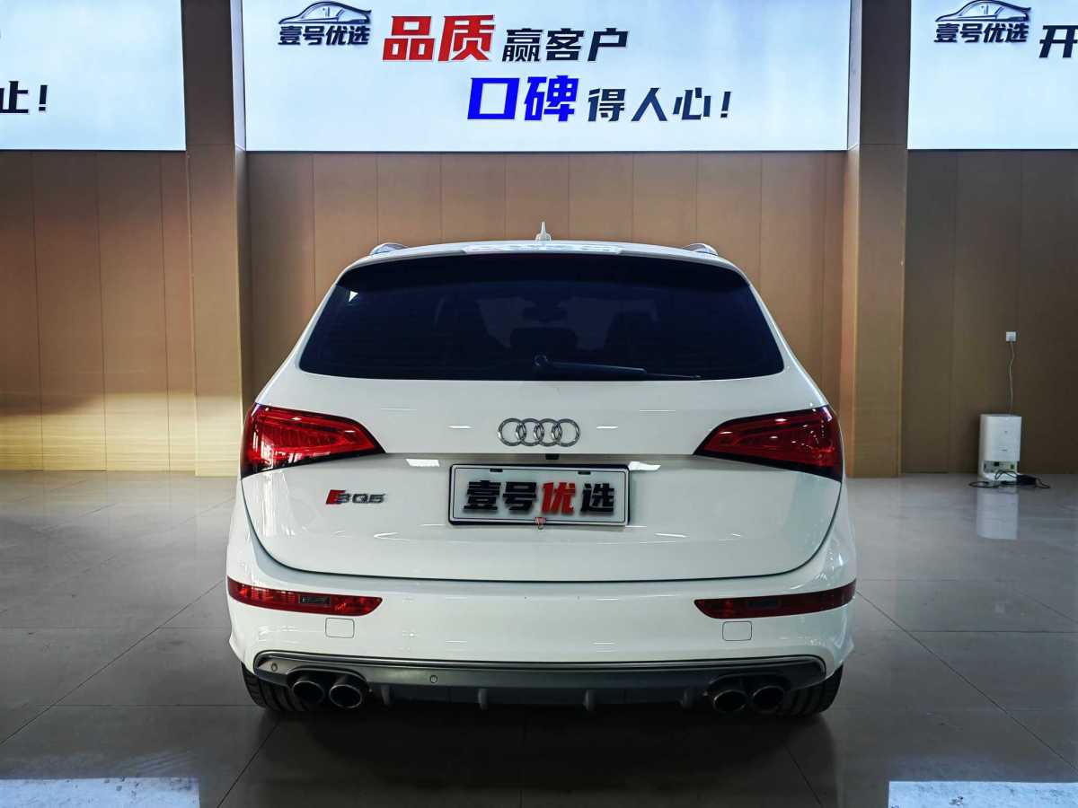 Audi SQ5 2013 #6 Audi SQ5 2013 imagen de coche #6