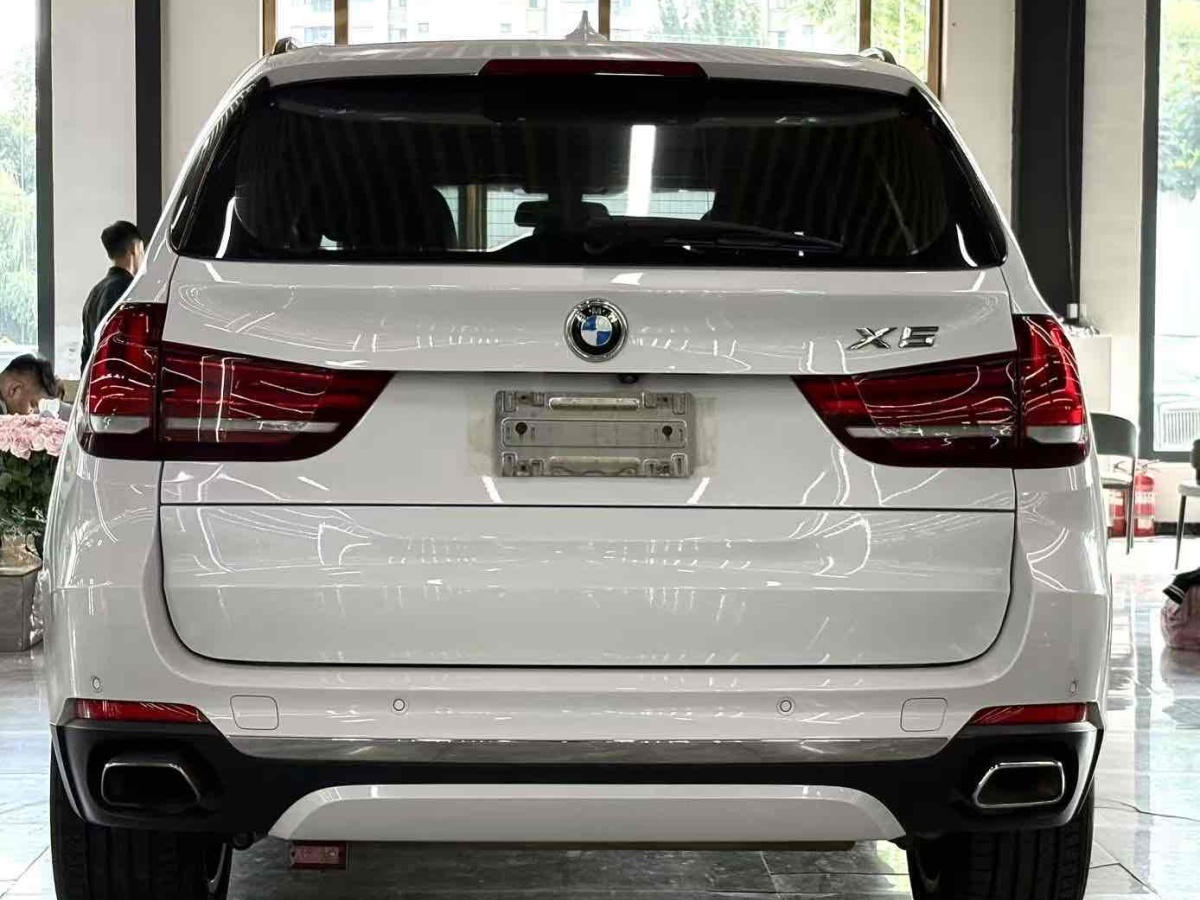 BMW X5 New Energy (Imported) 2019 car image #6