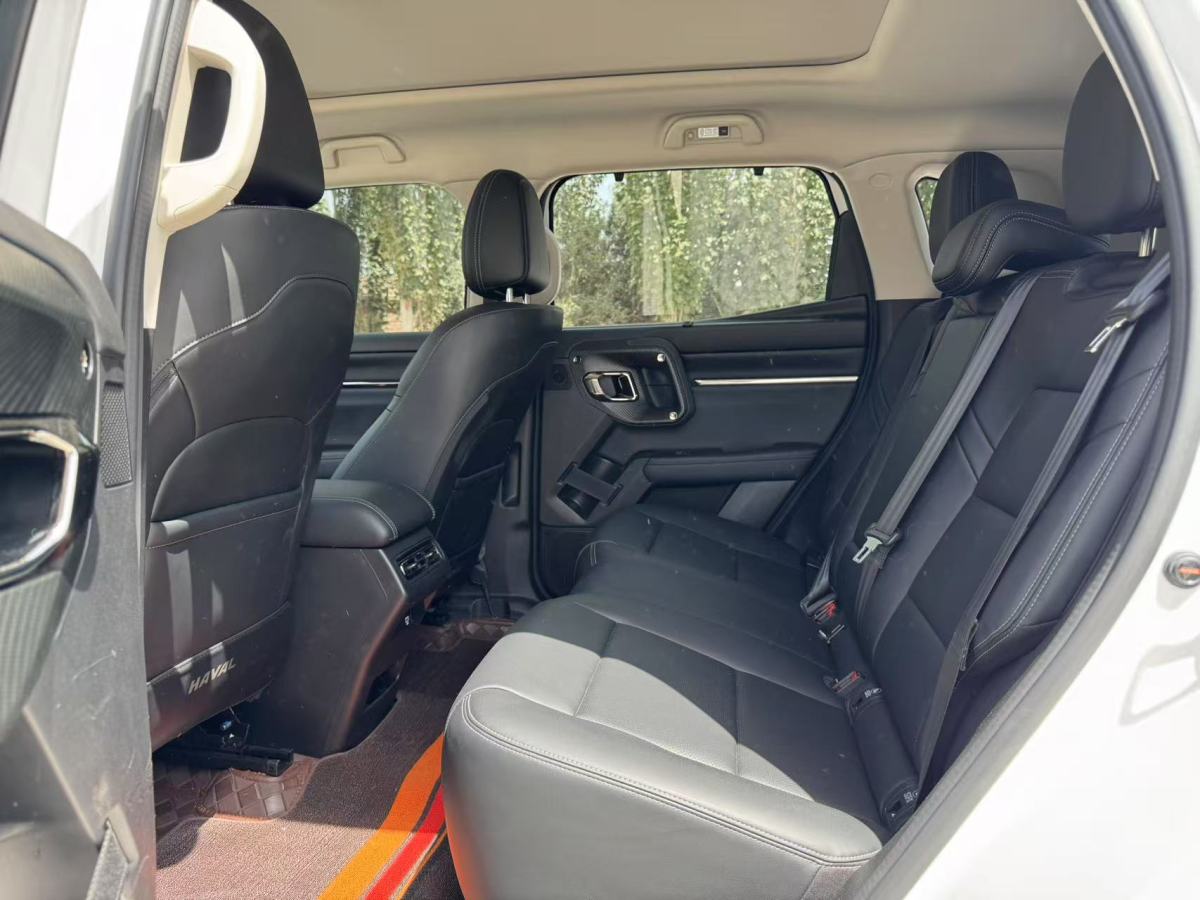 Haval X Dog 2 New Energy 2023 car image #6