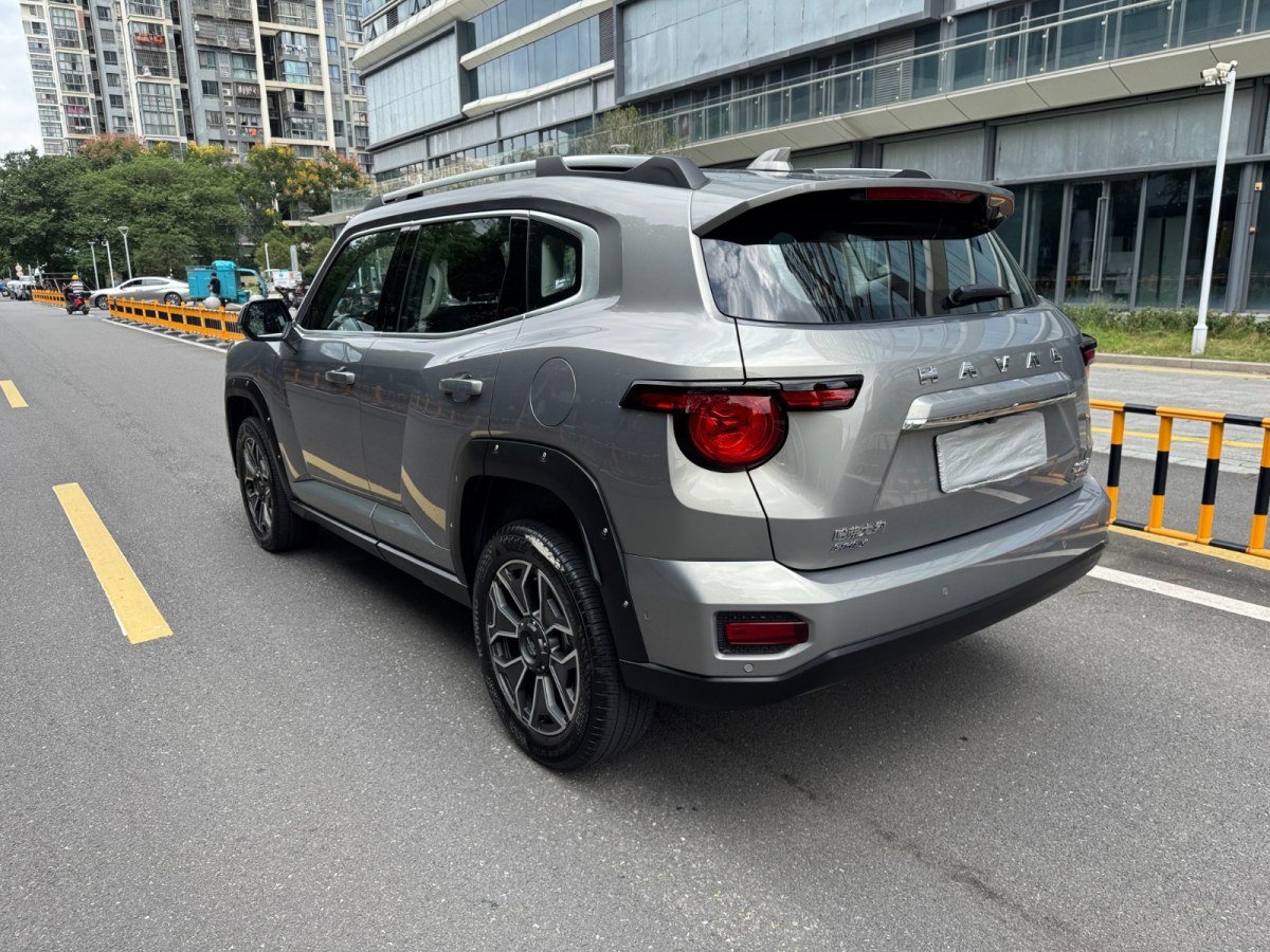 Haval X Dog 2 New Energy 2024 car image #6