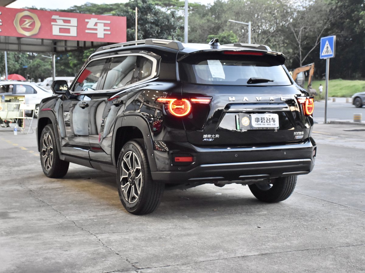 Haval X Dog 2 New Energy 2023 car image #6