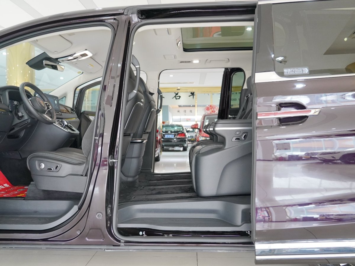 HongQi HQ9 2023 image de voiture #6
