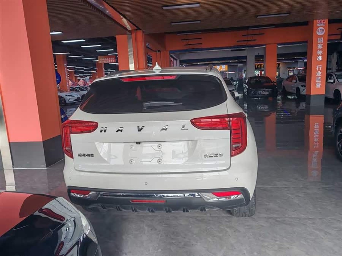 Haval Jolion 2020 car image #6