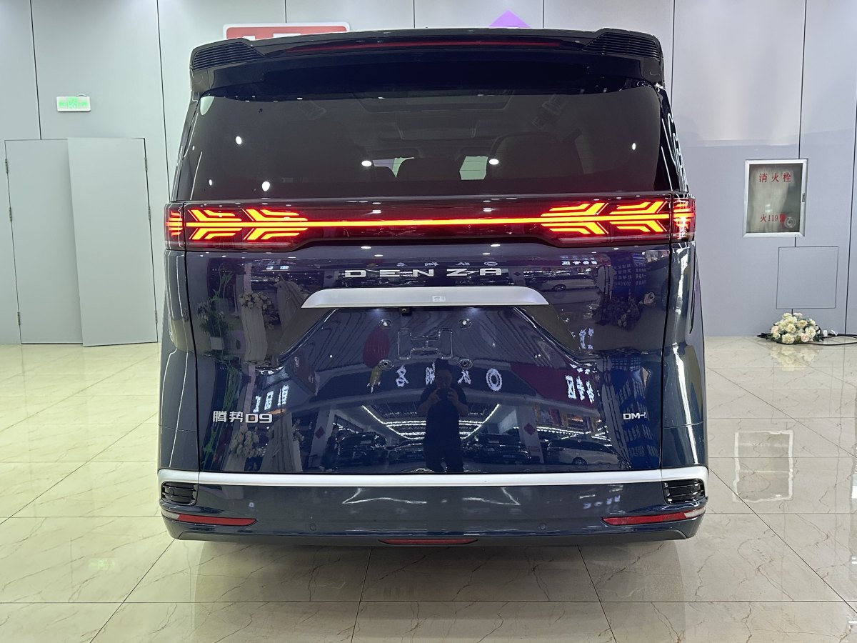 腾势 腾势D9 2023 汽车图片 #6