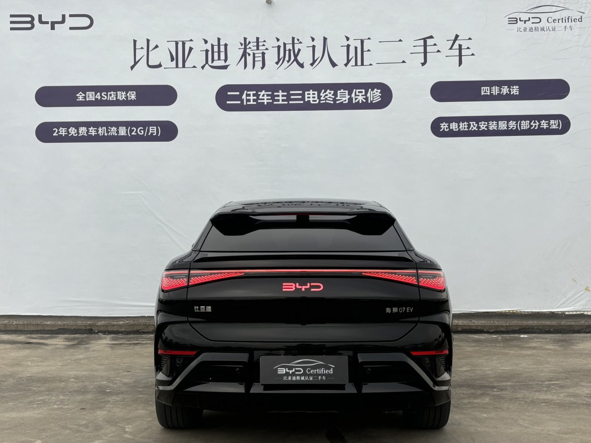 BYD Sea Lion 07 EV 2024 car image #6