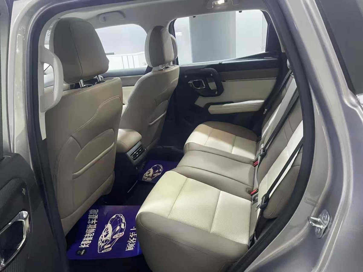 Haval X Dog 2 New Energy 2023 car image #6