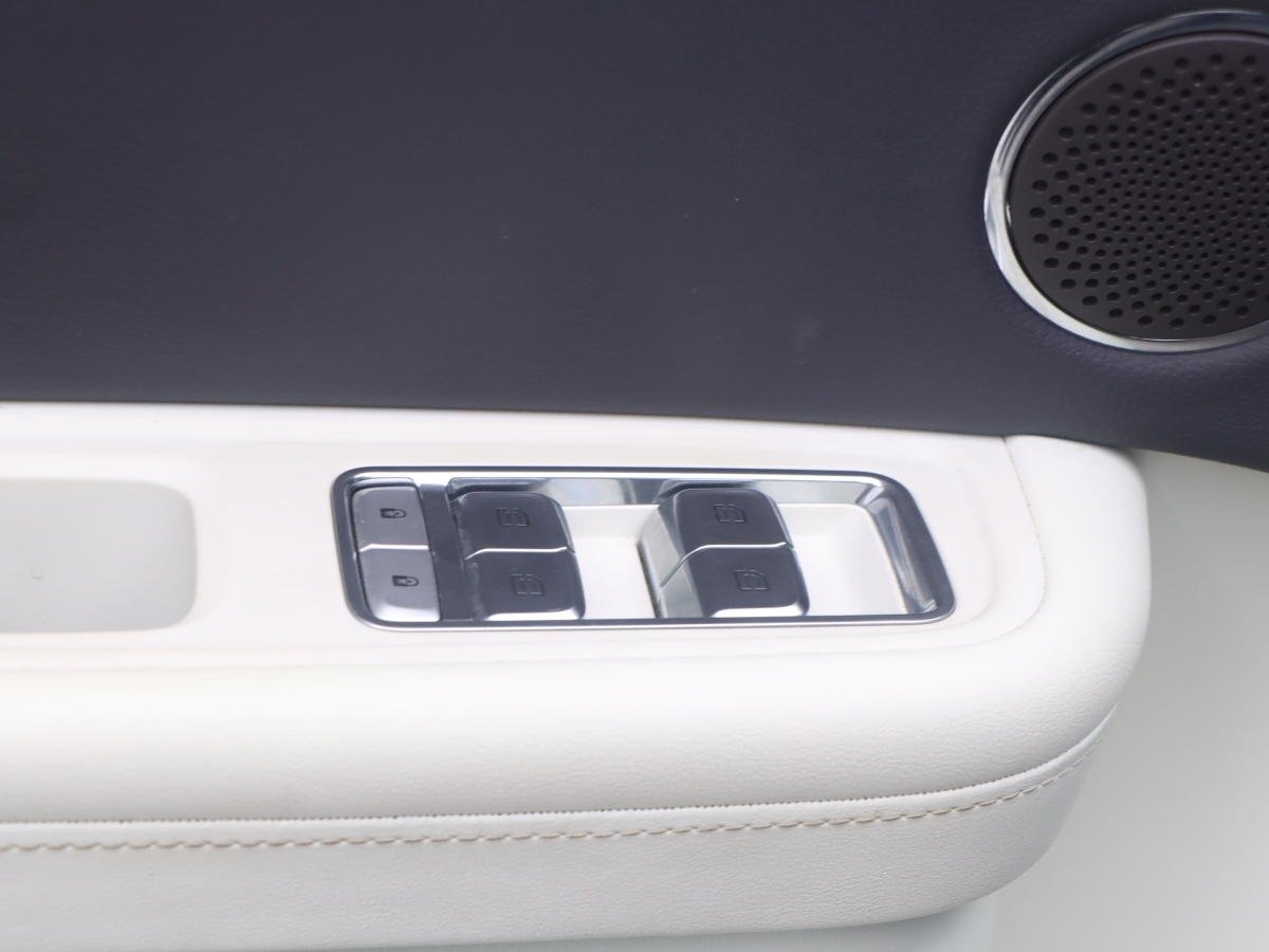 HongQi E-HS9 2023 car image #6