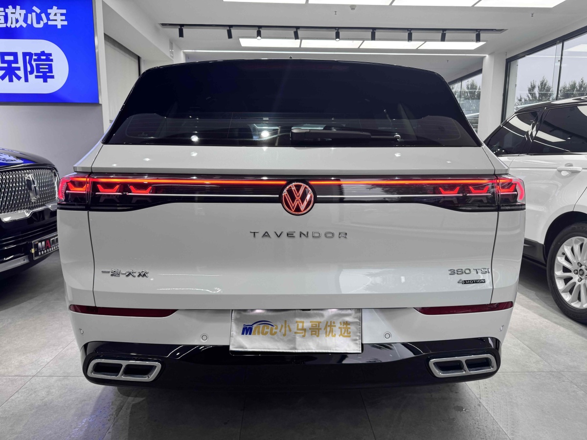 Volkswagen Tavendor 2023 car image #6