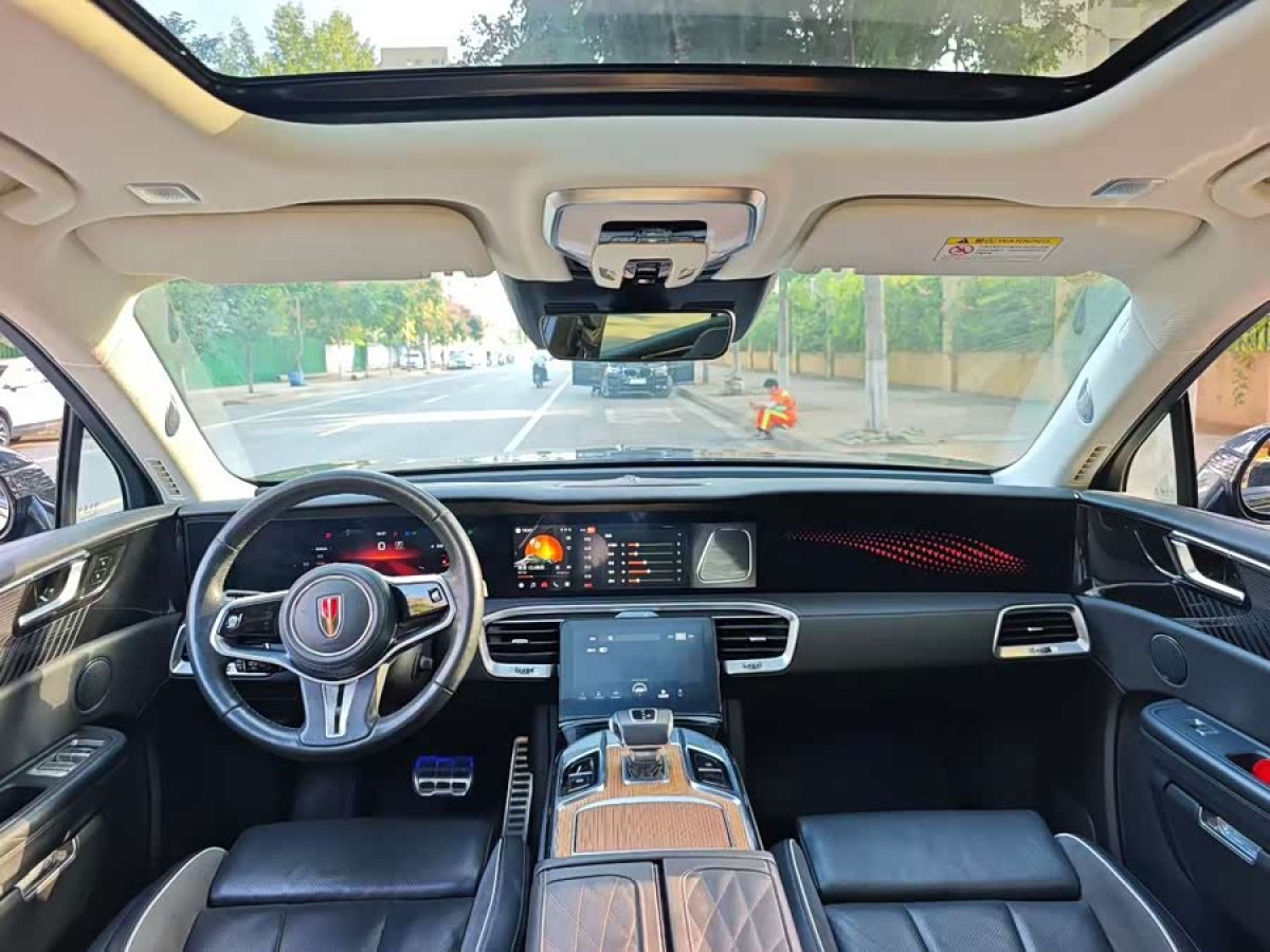 HongQi E-HS9 2022 car image #6