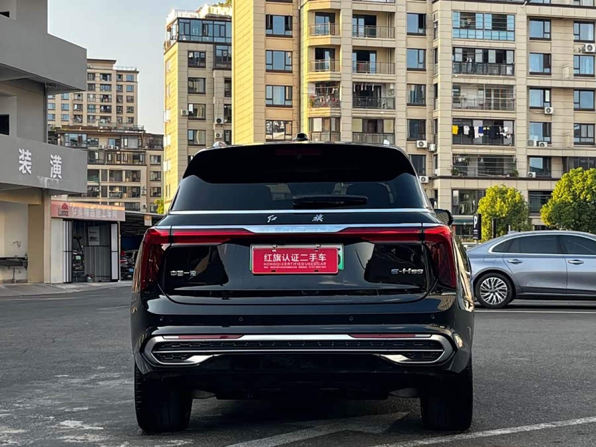 HongQi E-HS9 2025 car image #6