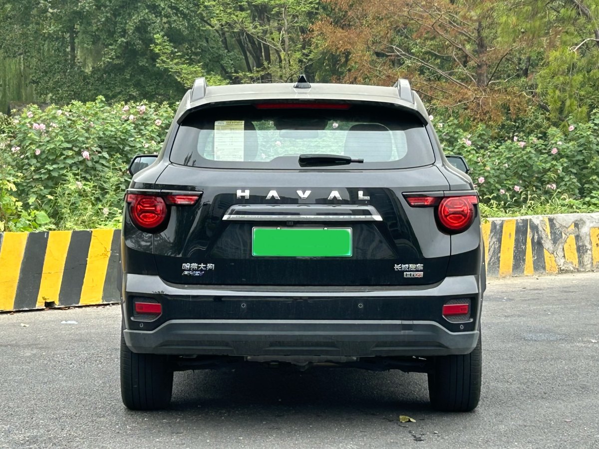 Haval X Dog 2 New Energy 2024 car image #6
