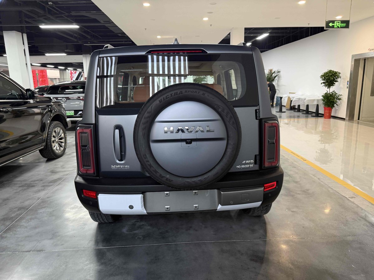 Haval Raptor 2025 immagine di auto #6