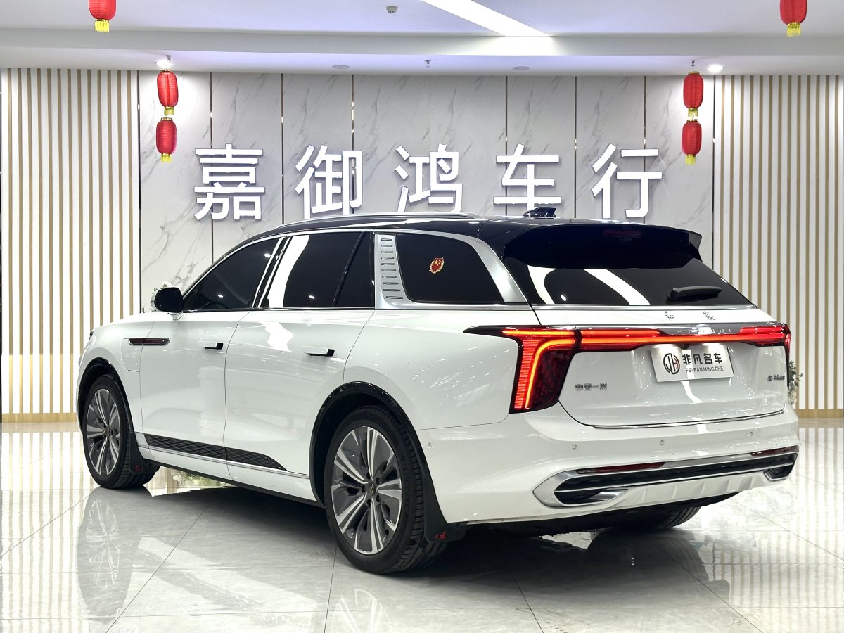 HongQi E-HS9 2021 #6 HongQi E-HS9 2021 car image #6