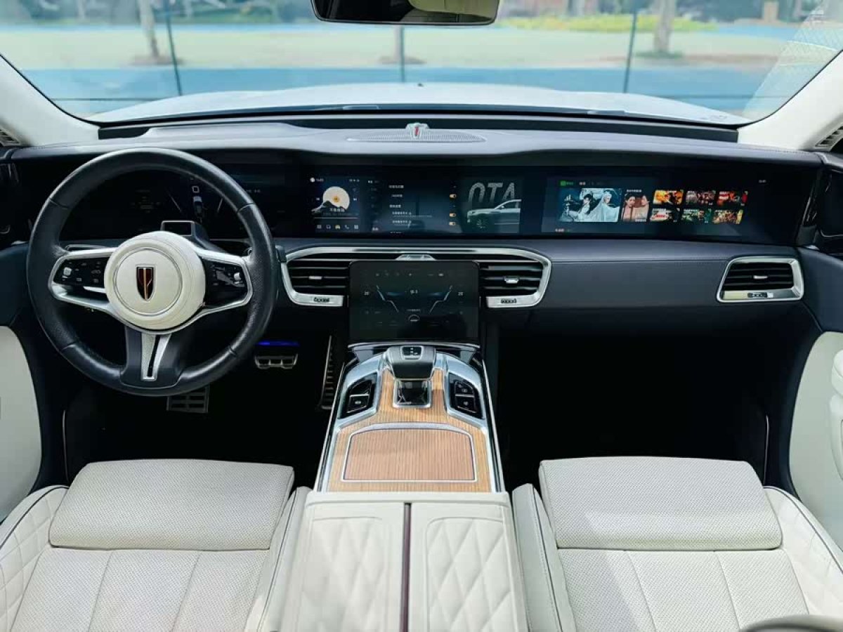 HongQi E-HS9 2020 immagine di auto #6