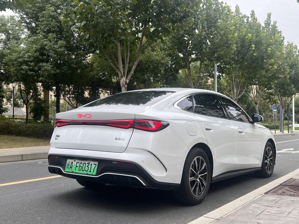 BYD Seal 06 DM-i 2024 immagine di auto #6