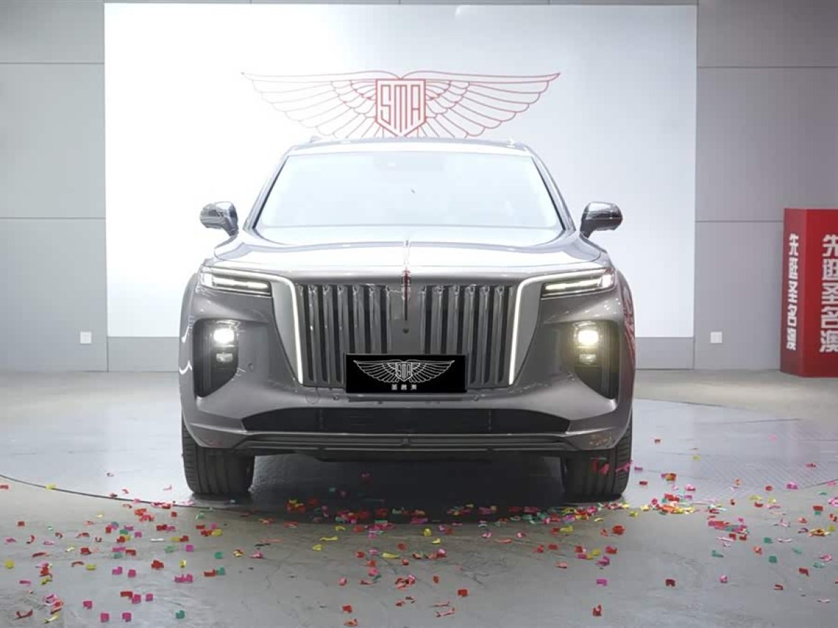 HongQi E-HS9 2023 car image #6
