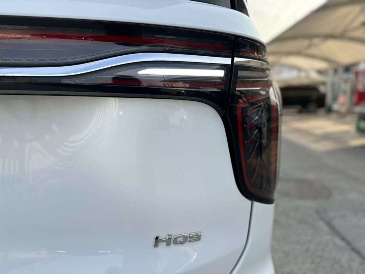 HongQi HQ9 2023 car image #6