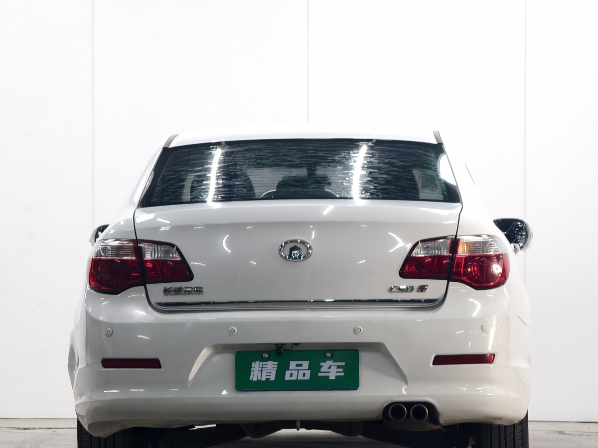 Great Wall C50 2014 car image #6