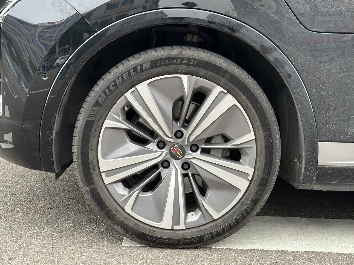 HongQi E-HS9 2022 #6 HongQi E-HS9 2022 car image #6