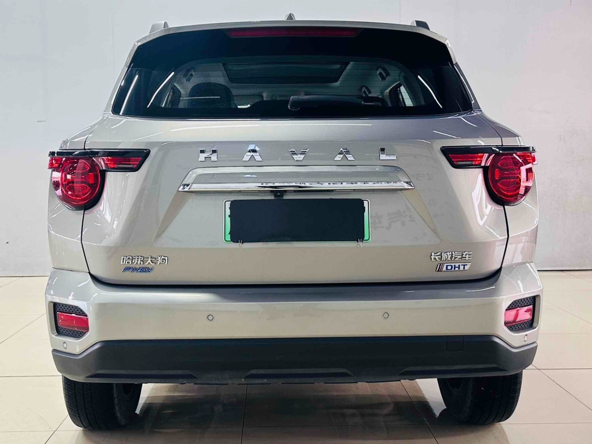 Haval X Dog 2 New Energy 2023 car image #6